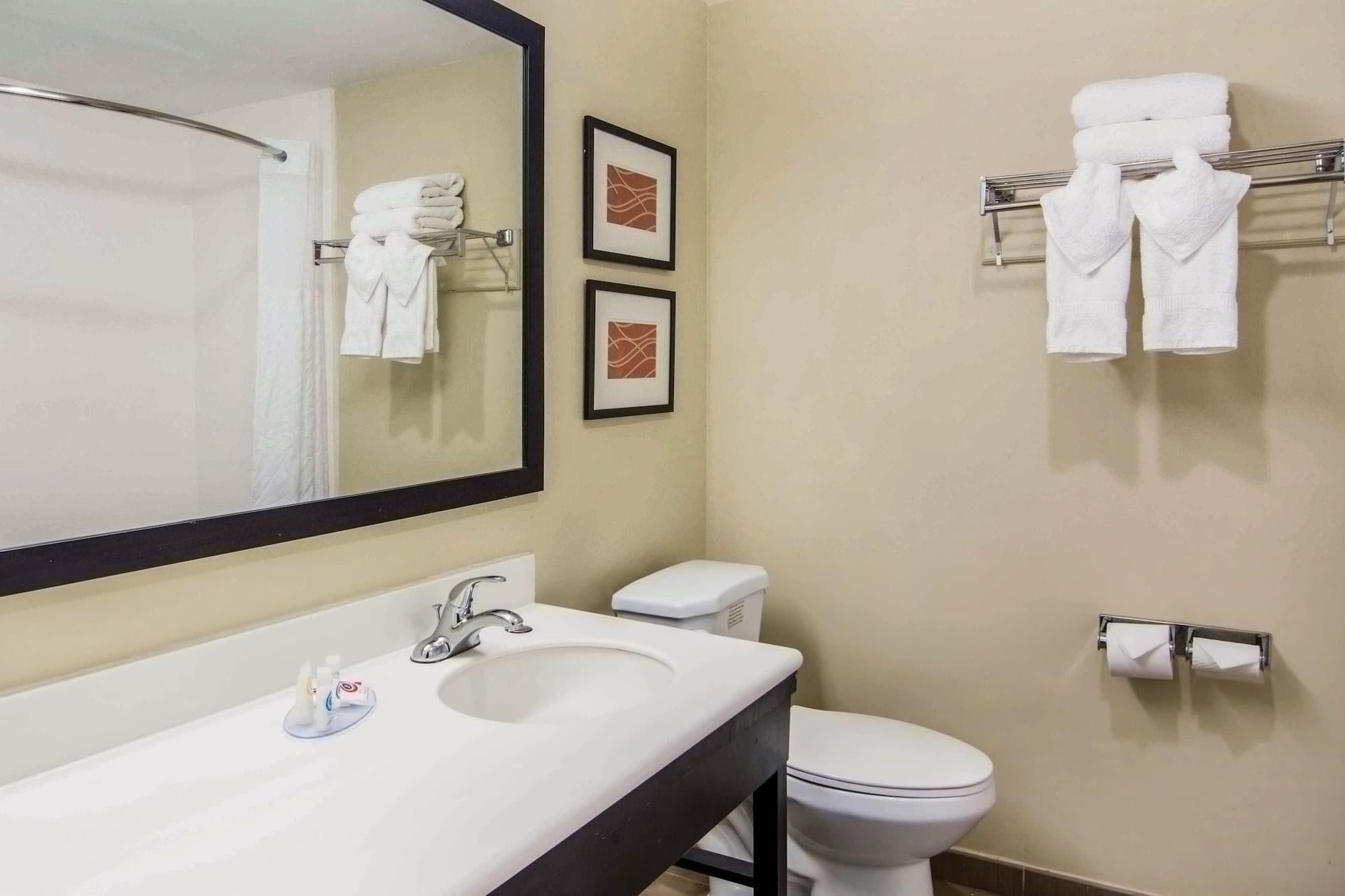 Comfort Inn Atlanta Downtown South Dış mekan fotoğraf