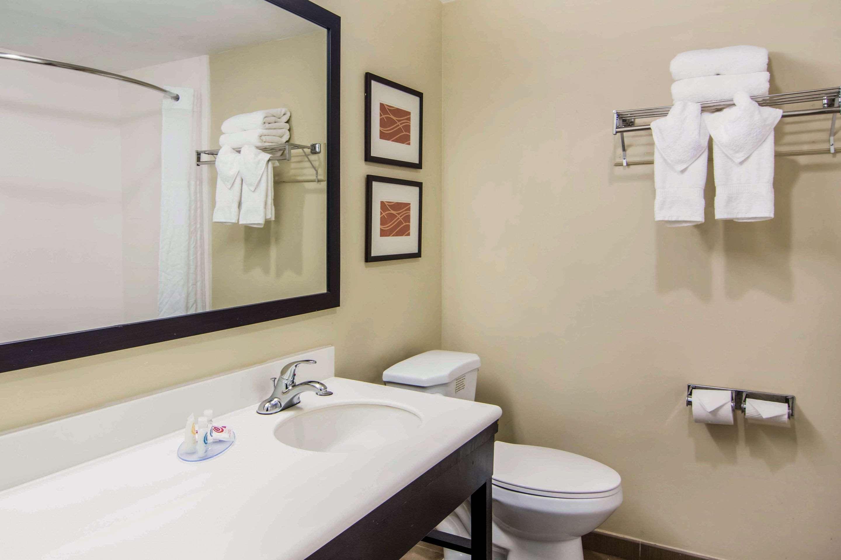 Comfort Inn Atlanta Downtown South Dış mekan fotoğraf