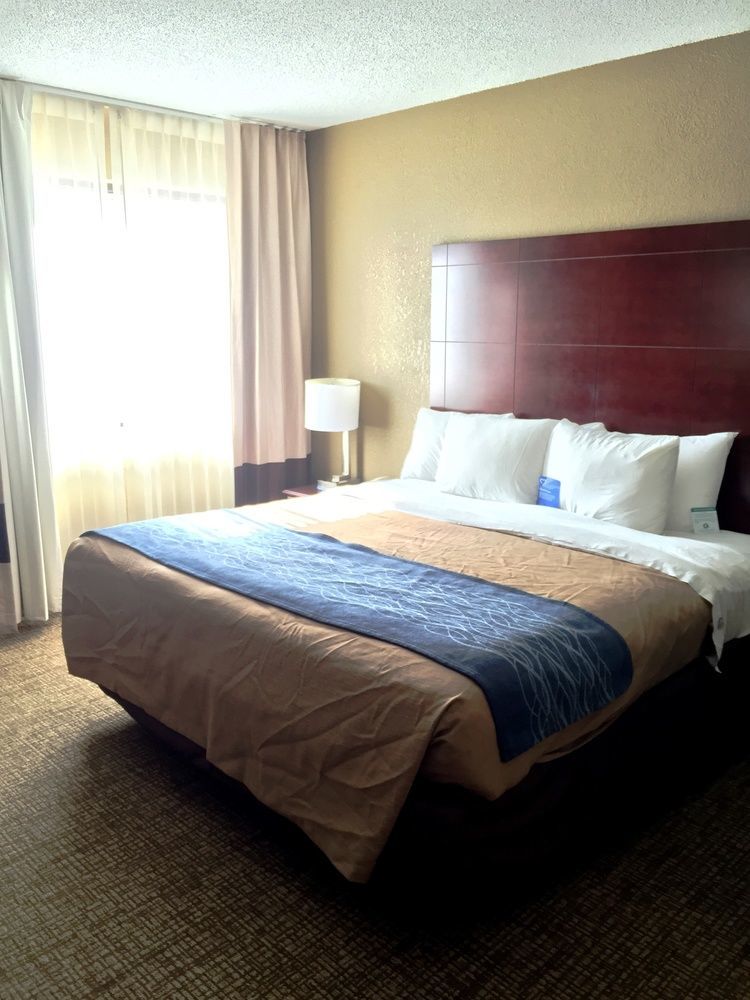 Comfort Inn Atlanta Downtown South Dış mekan fotoğraf