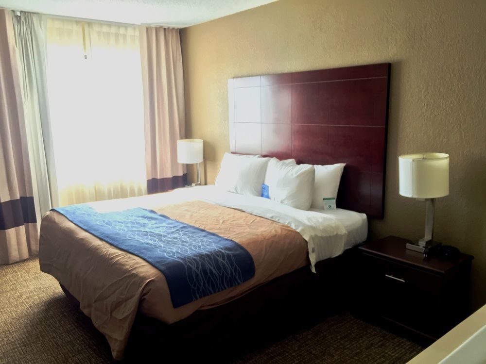 Comfort Inn Atlanta Downtown South Dış mekan fotoğraf