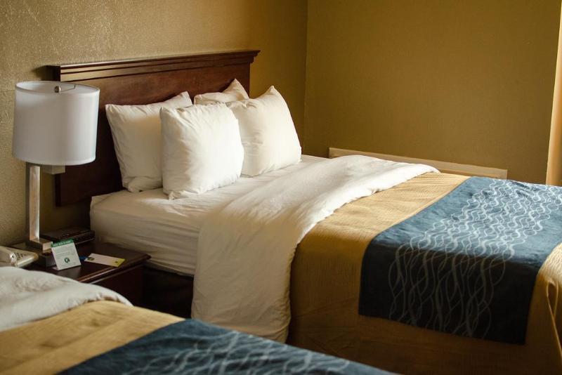 Comfort Inn Atlanta Downtown South Dış mekan fotoğraf